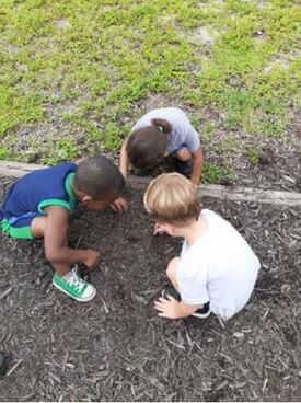Students explore soil outside during 3's STEAM at our childcare center, Fort Myers FL.